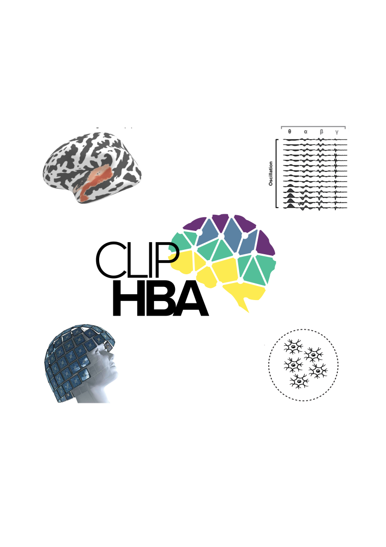 Brain Inspired AI Across Levels of Neural Processing