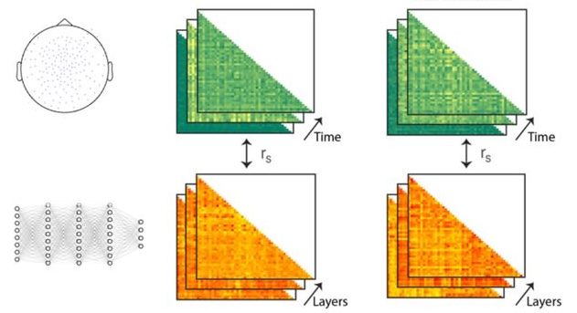 Representational Similarity Analysis (RSA) GUI