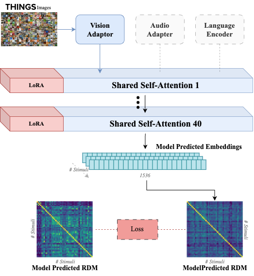 Crossmodal Human Enhancement of Multimodal AI